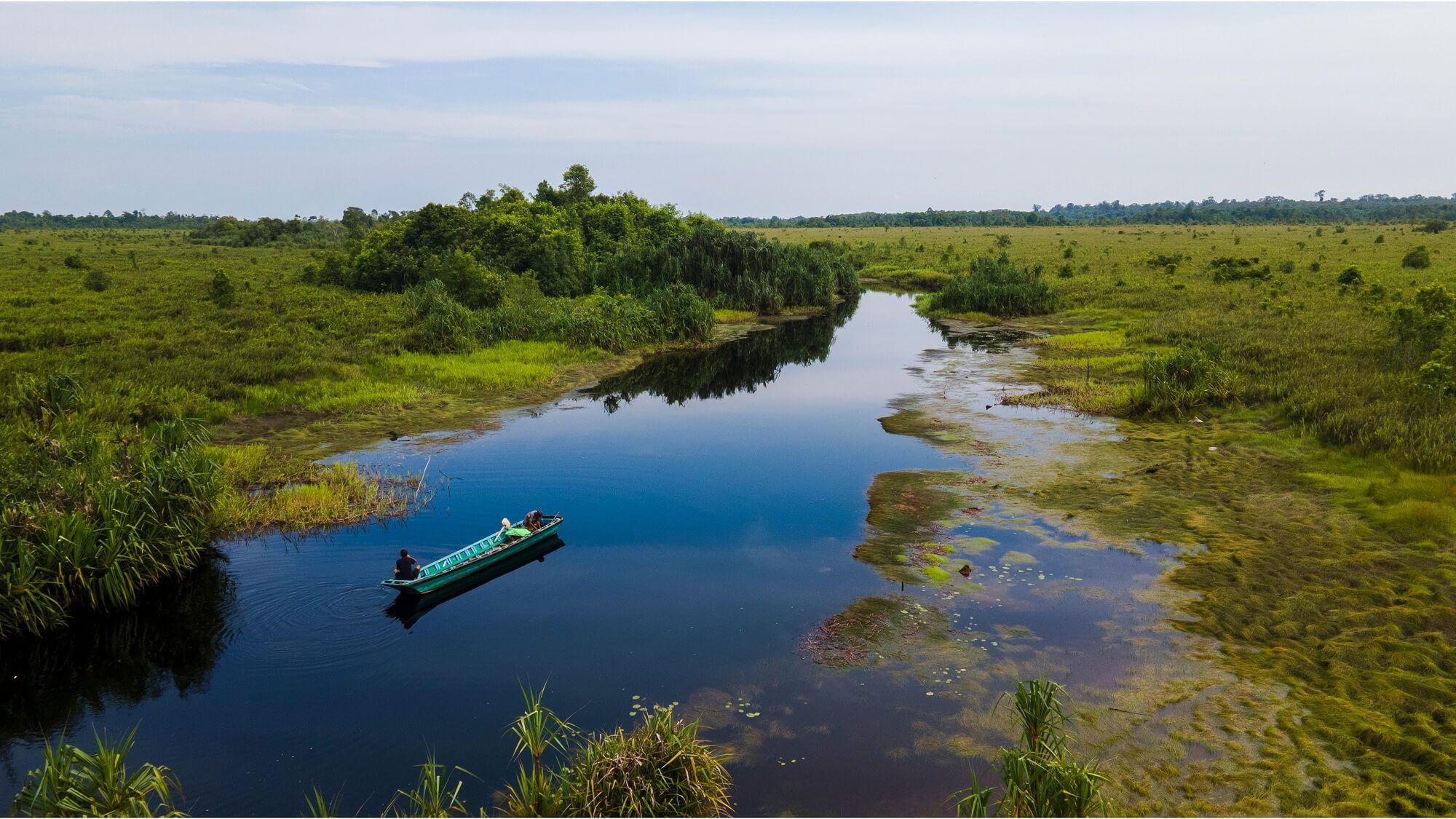 In the heart of Indonesia, NGO Alam Sehat Lestari combats illegal logging by offering accessible healthcare and sustainable livelihood opportunities for their community.
Photo: Alam Sehat Lestari
