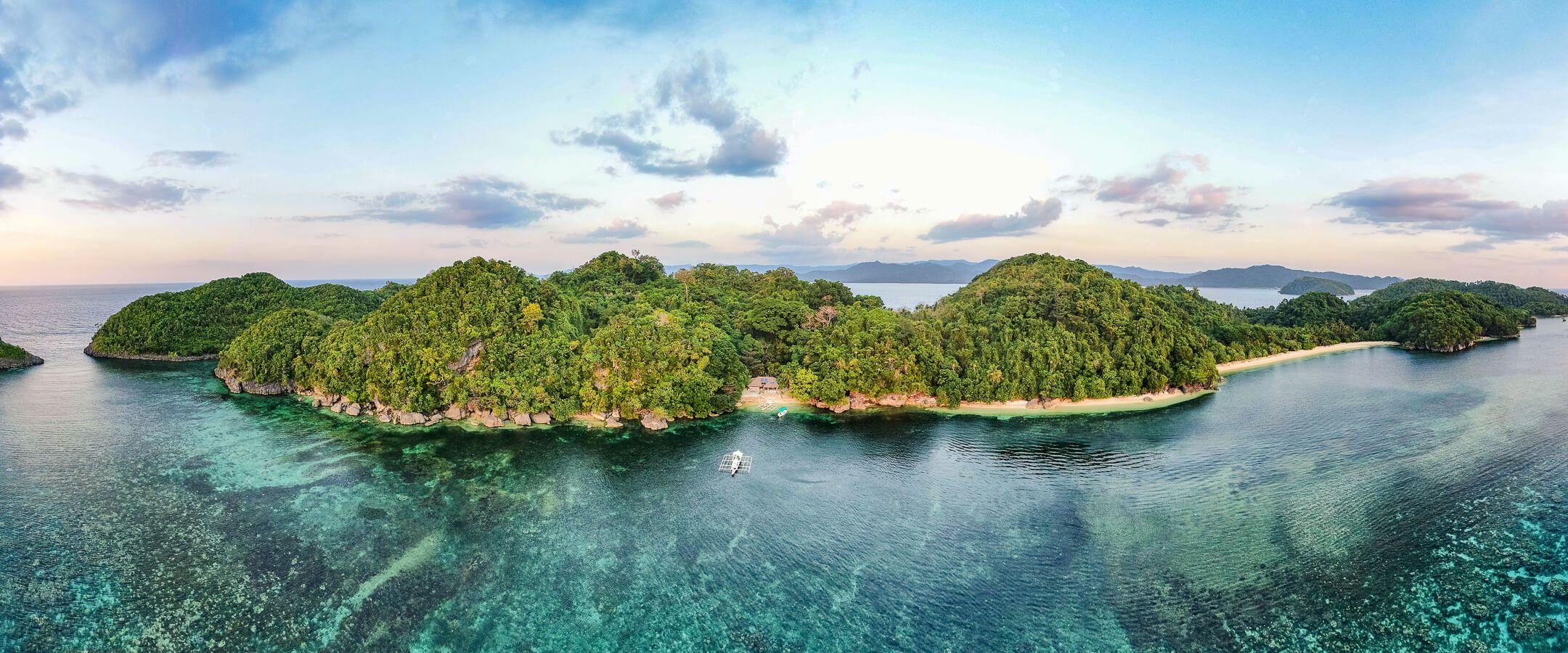 With over 43 hectares of forest and 100 hectares of coral reefs and sea beds, Dangujan island is home to thousands of endemic species.
Photo: Danjugan Archives
