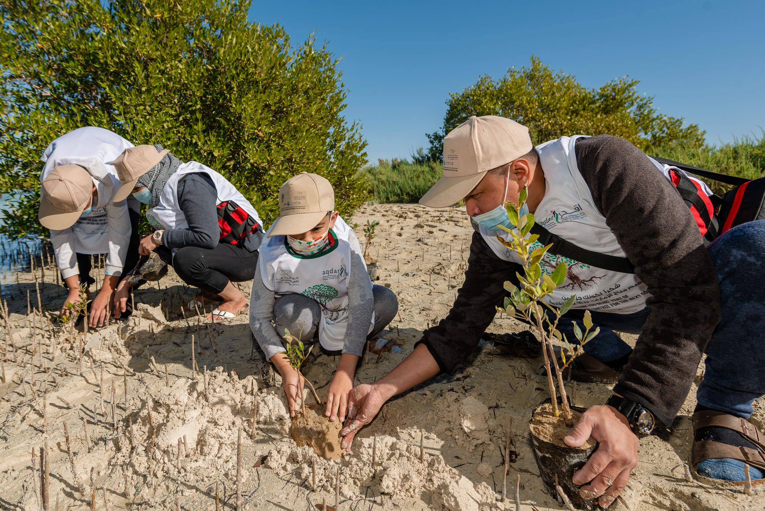 Roots of Sustainability: Restoring Mangrove Forests Through Carbon Capture