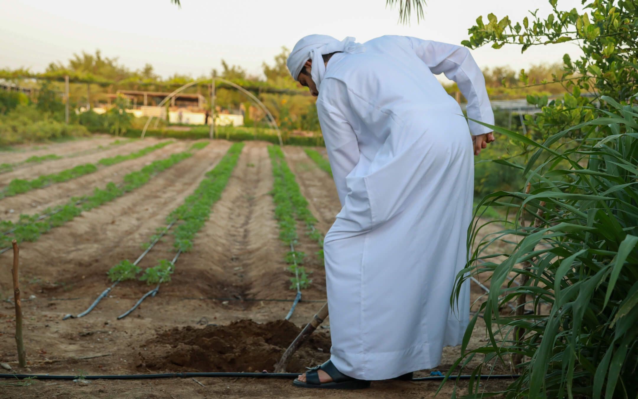 Photo: The Climate Tribe, Abu Dhabi.